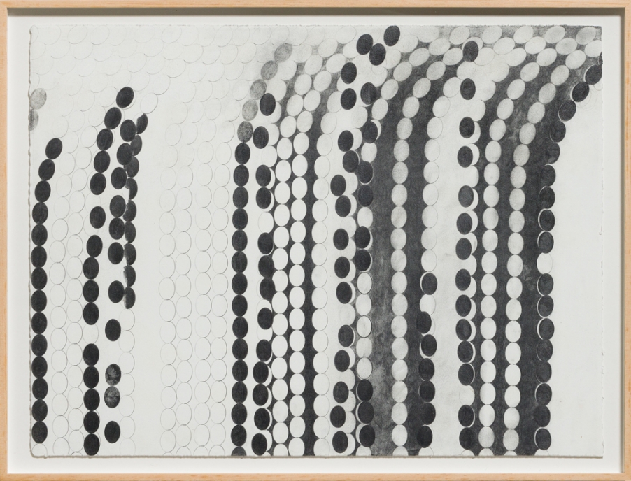 Sookkyung Jang<br>8 Variations in Graphite II